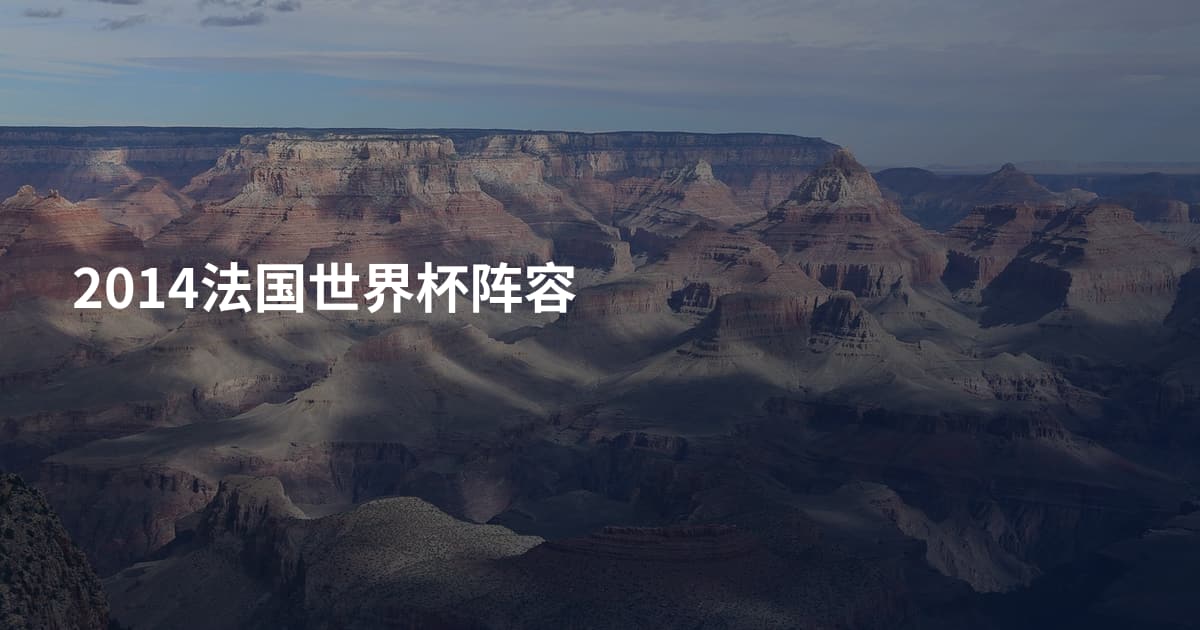 2014法国世界杯阵容