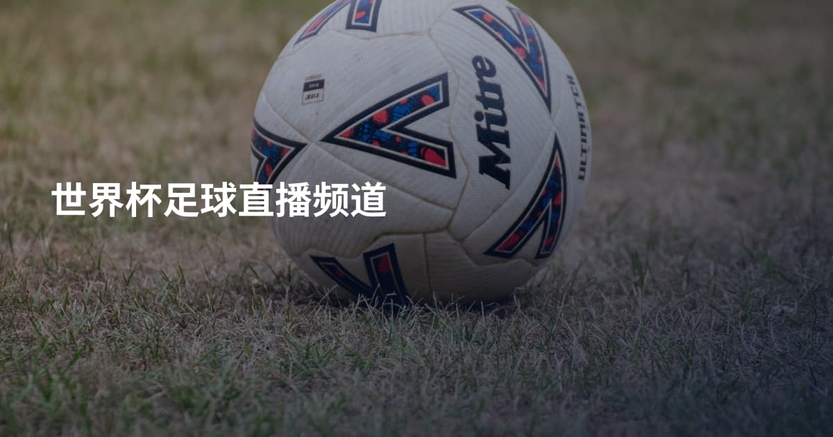 世界杯足球直播频道