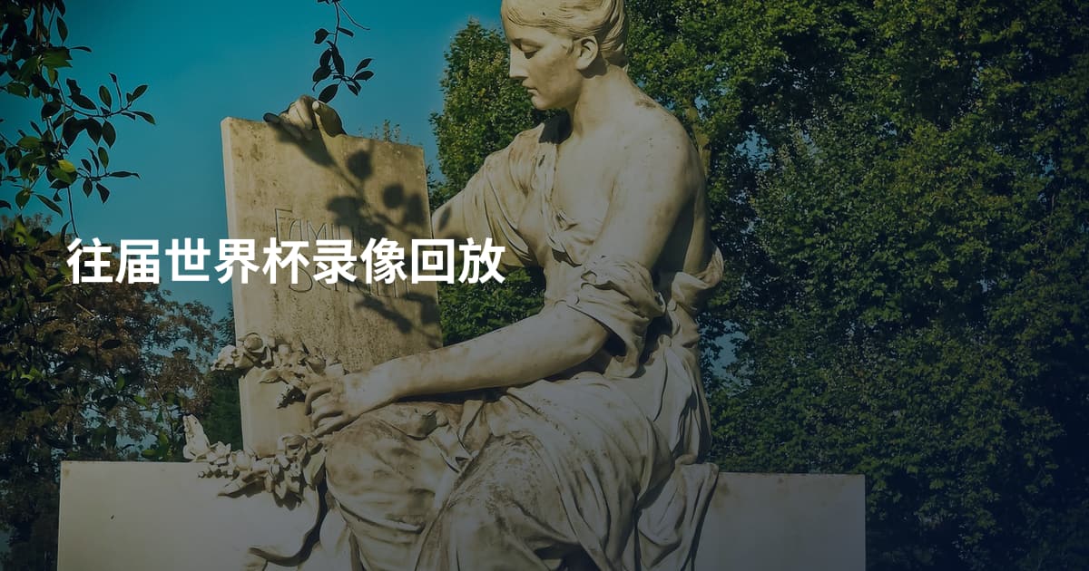 往届世界杯录像回放