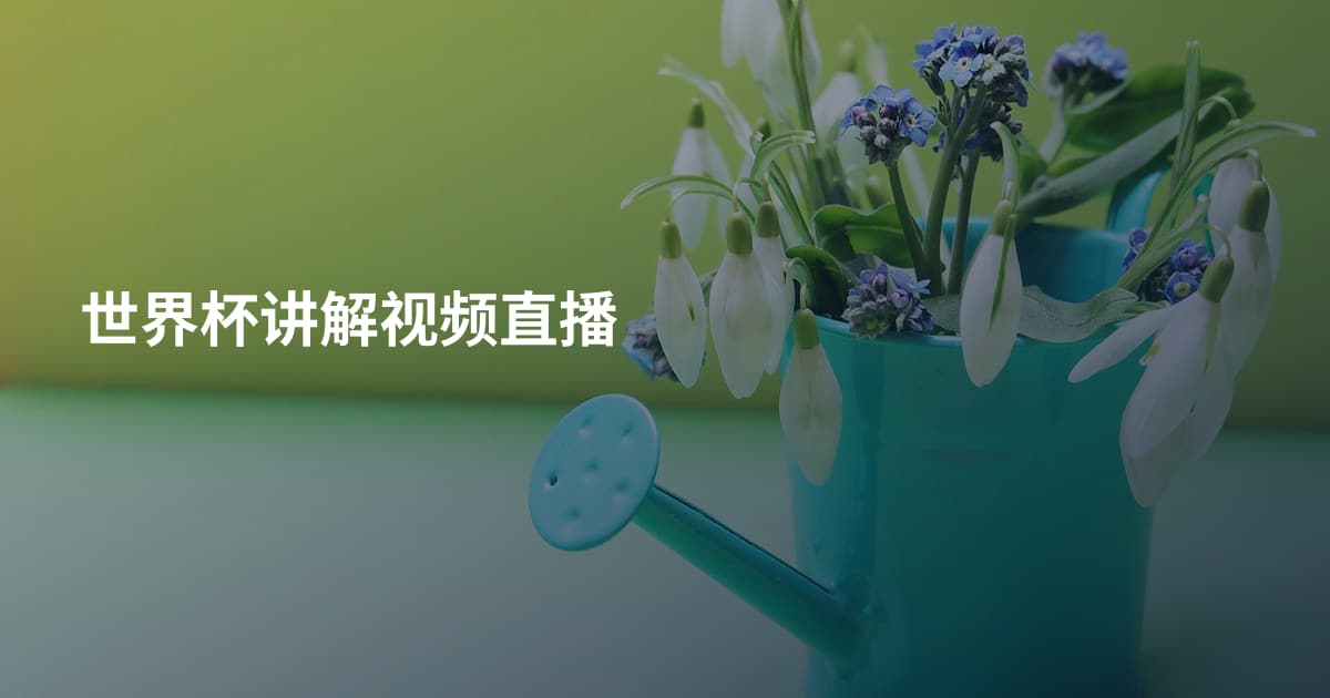 世界杯讲解视频直播