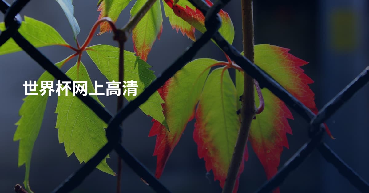 世界杯网上高清