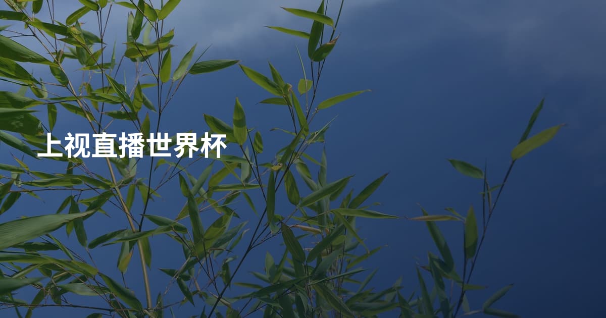上视直播世界杯