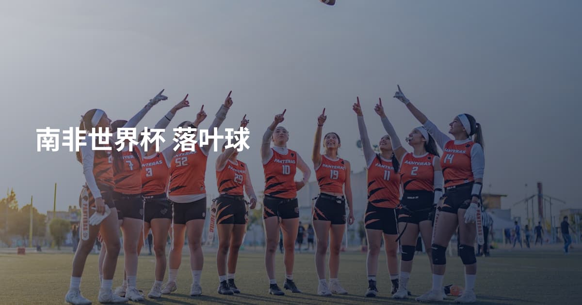 南非世界杯 落叶球