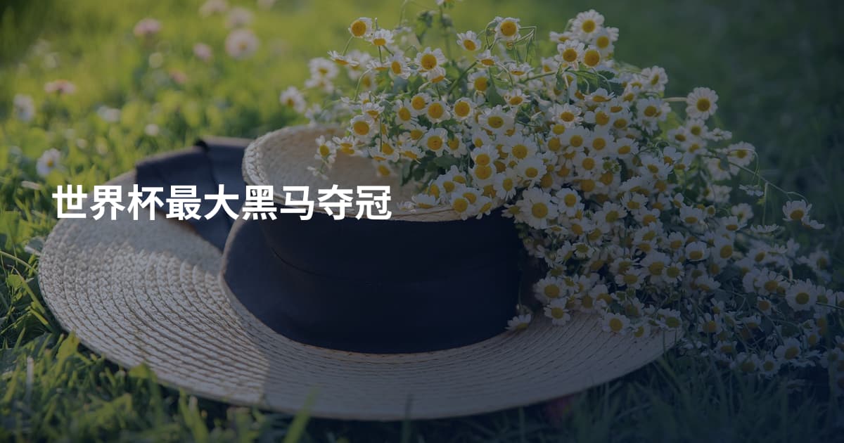世界杯最大黑马夺冠