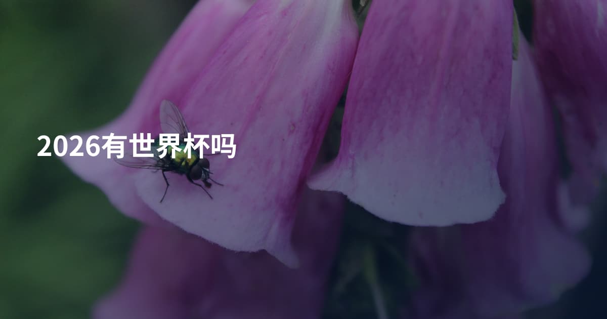 2026有世界杯吗