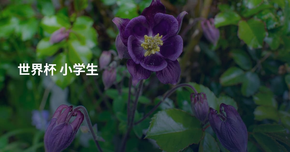 世界杯 小学生