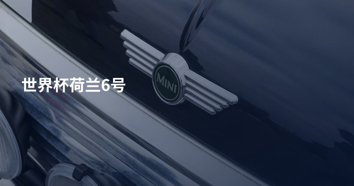 世界杯荷兰6号