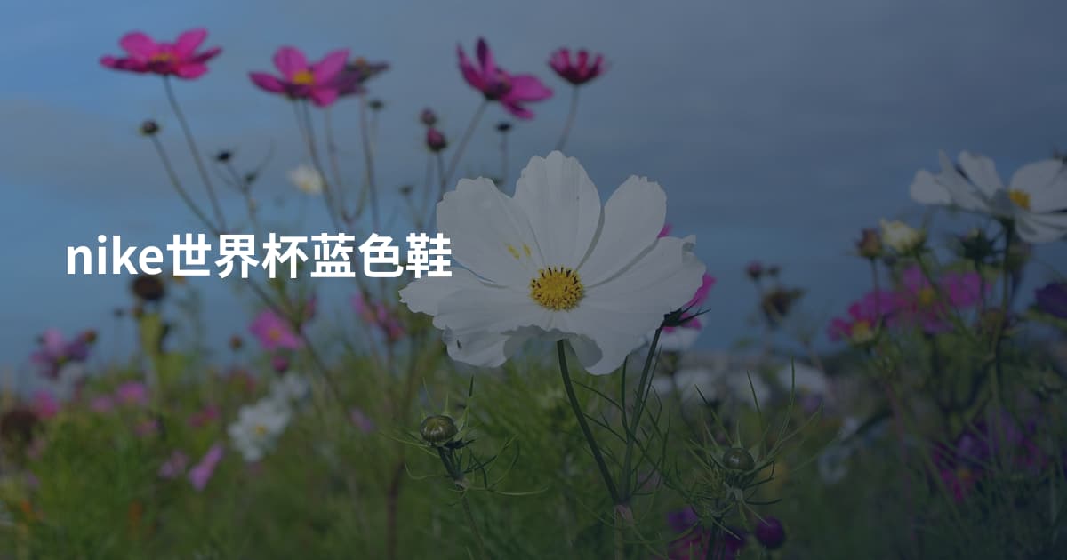 nike世界杯蓝色鞋