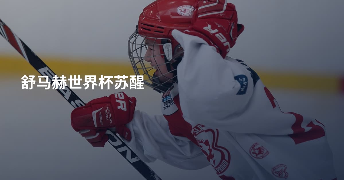 舒马赫世界杯苏醒