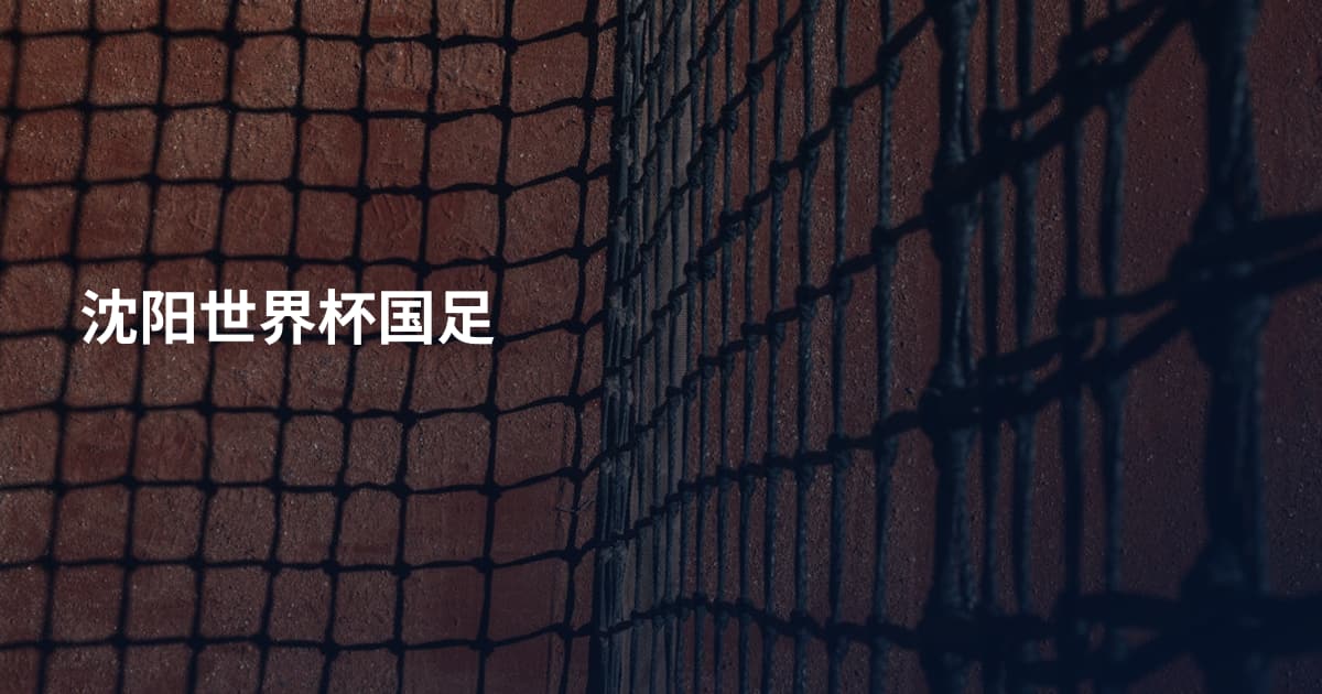 沈阳世界杯国足