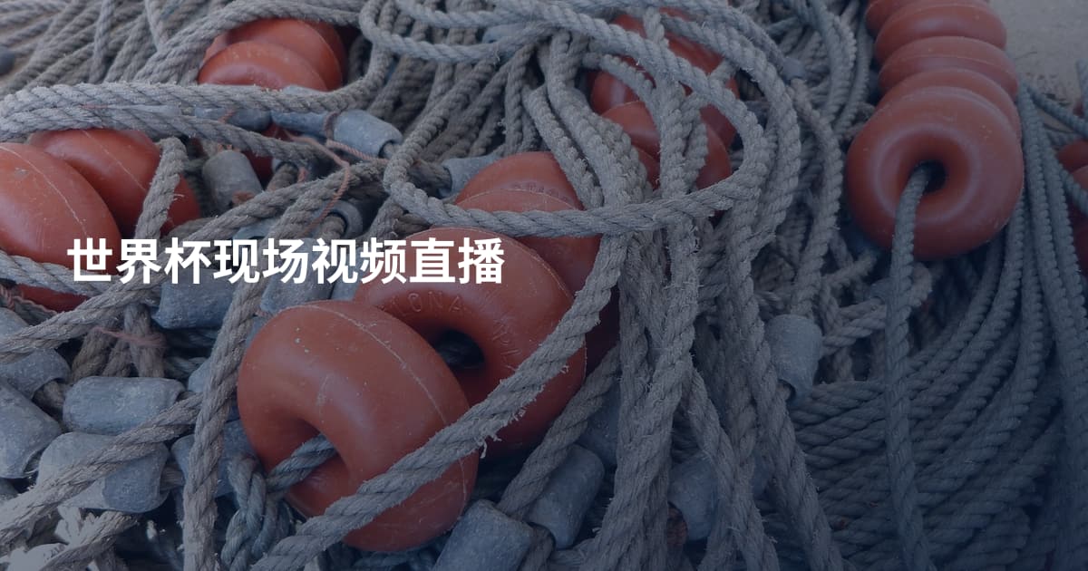 世界杯现场视频直播