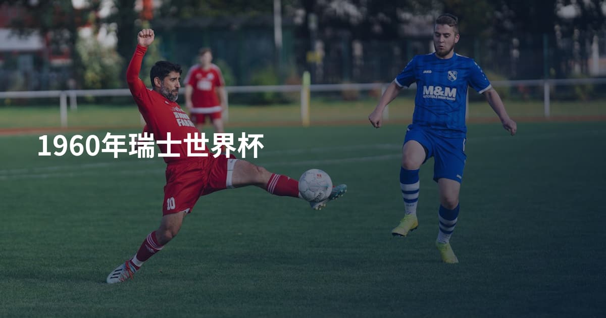 1960年瑞士世界杯