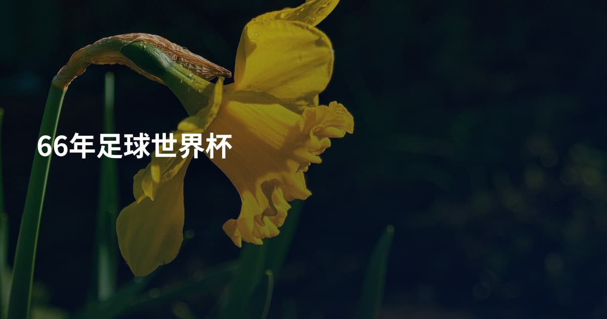 66年足球世界杯