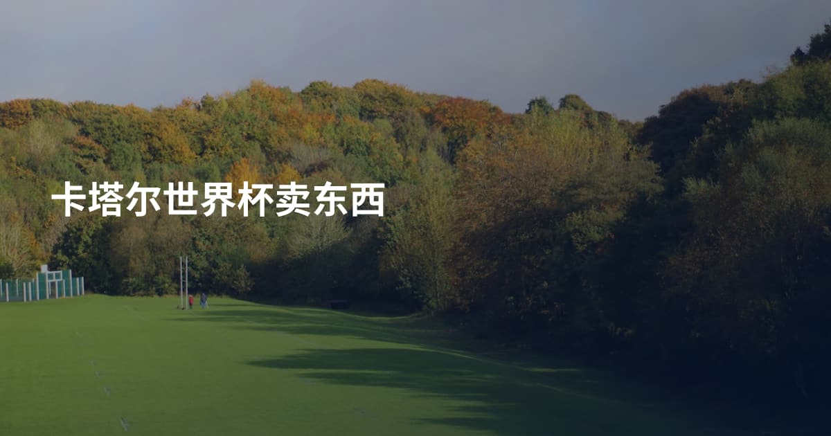 卡塔尔世界杯卖东西
