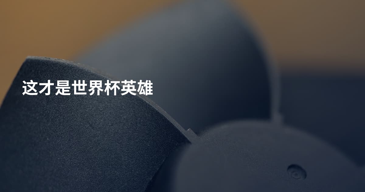 这才是世界杯英雄