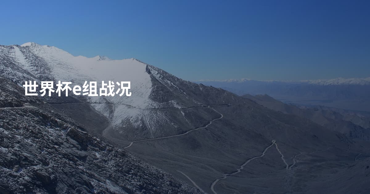 世界杯e组战况