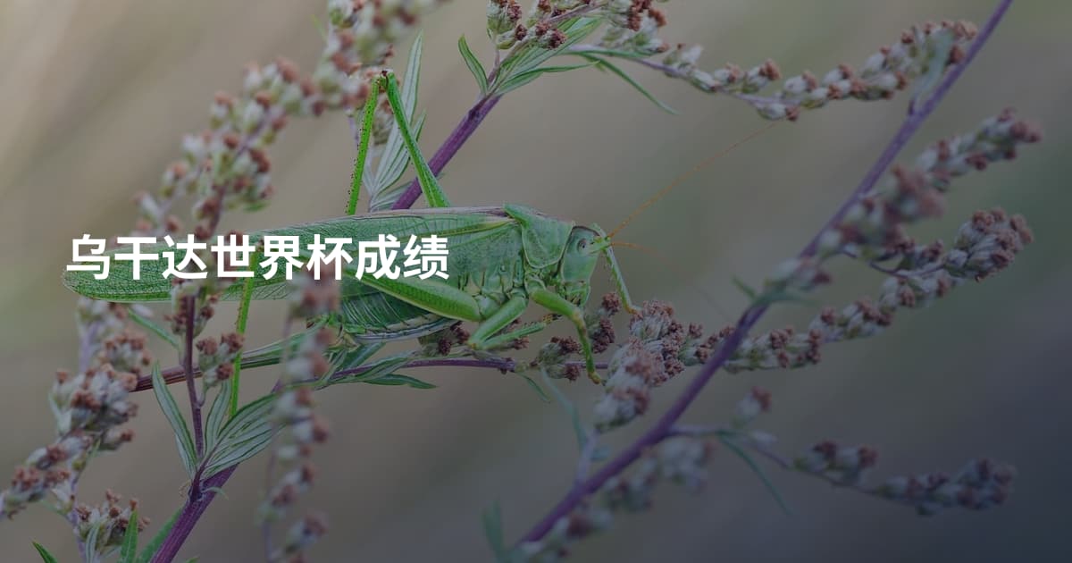 乌干达世界杯成绩