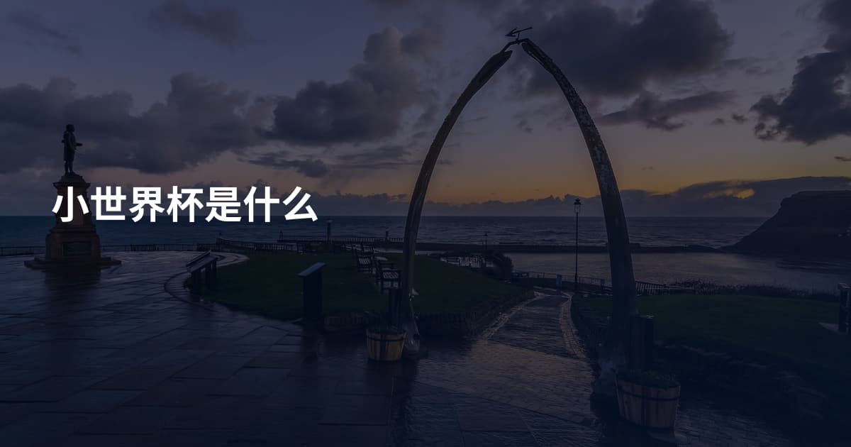 小世界杯是什么