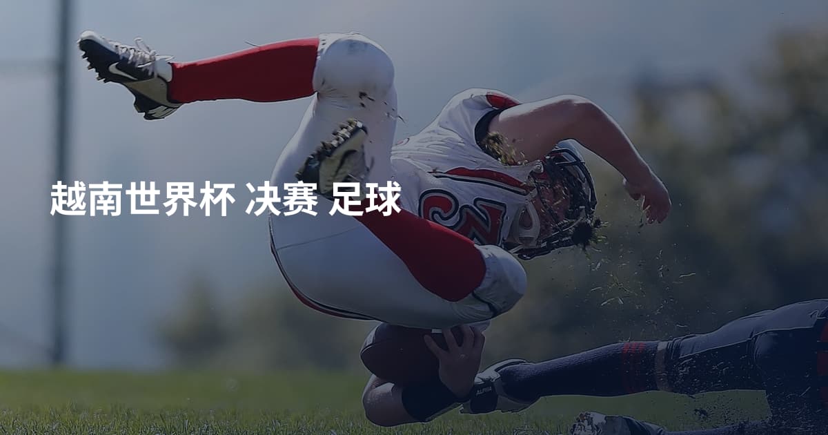 越南世界杯 决赛 足球