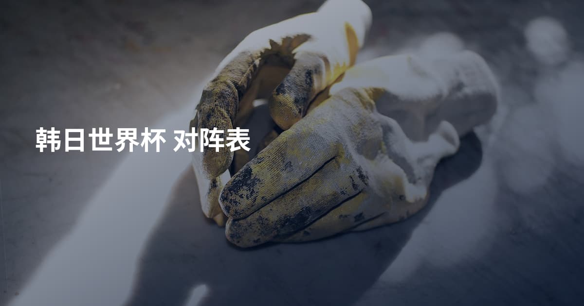 韩日世界杯 对阵表