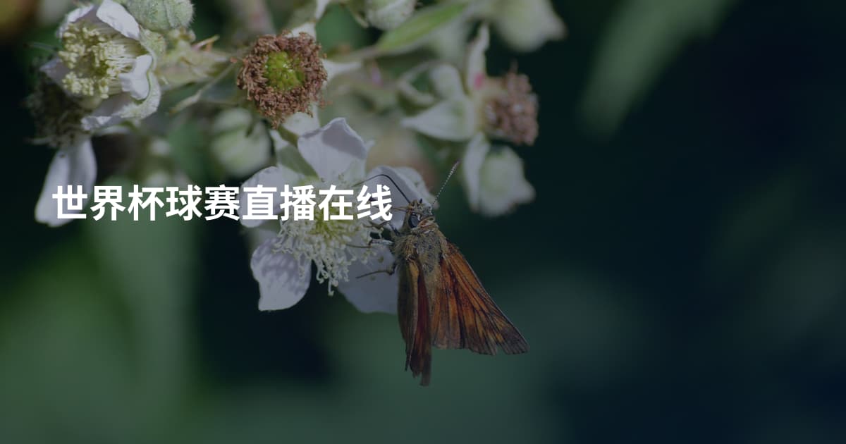 世界杯球赛直播在线