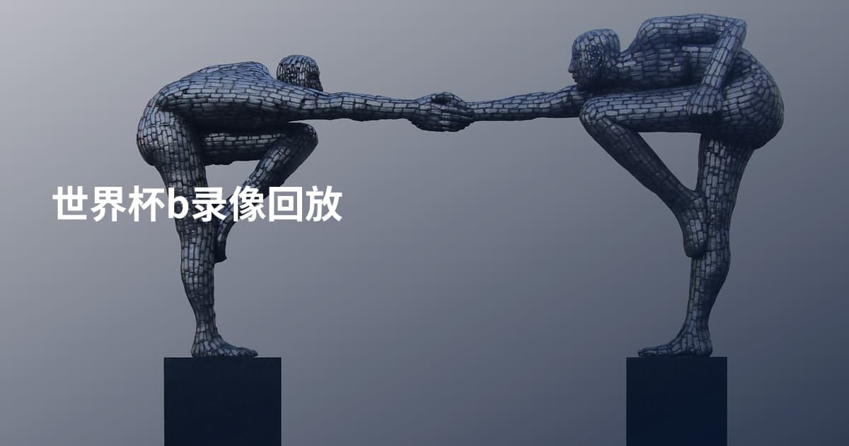 世界杯b录像回放