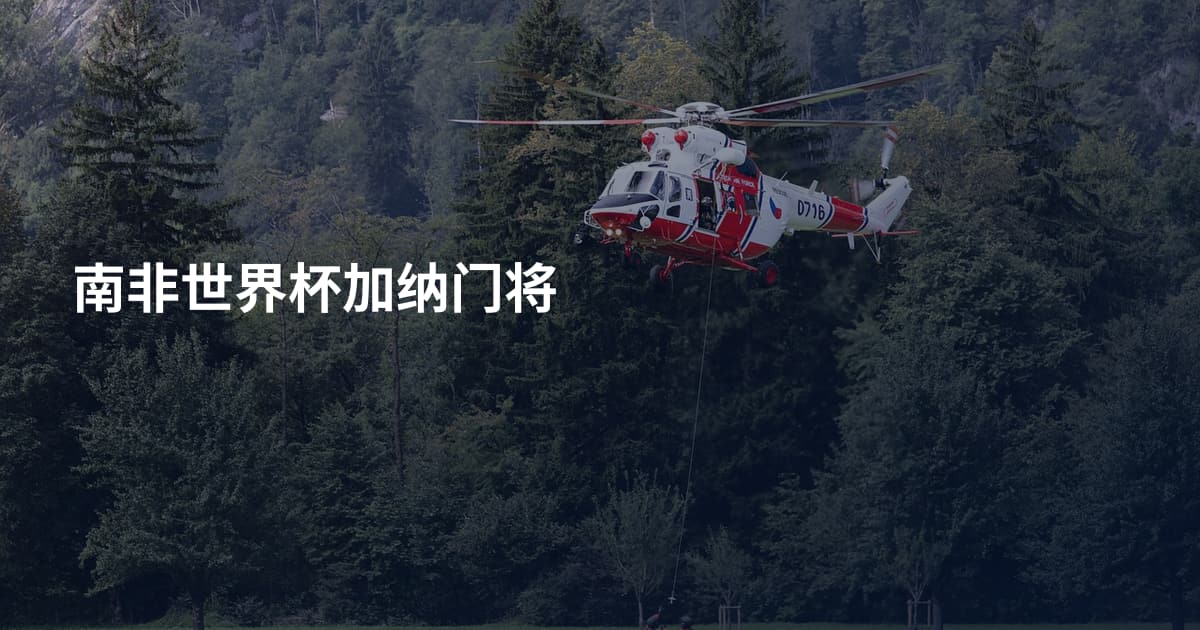 南非世界杯加纳门将