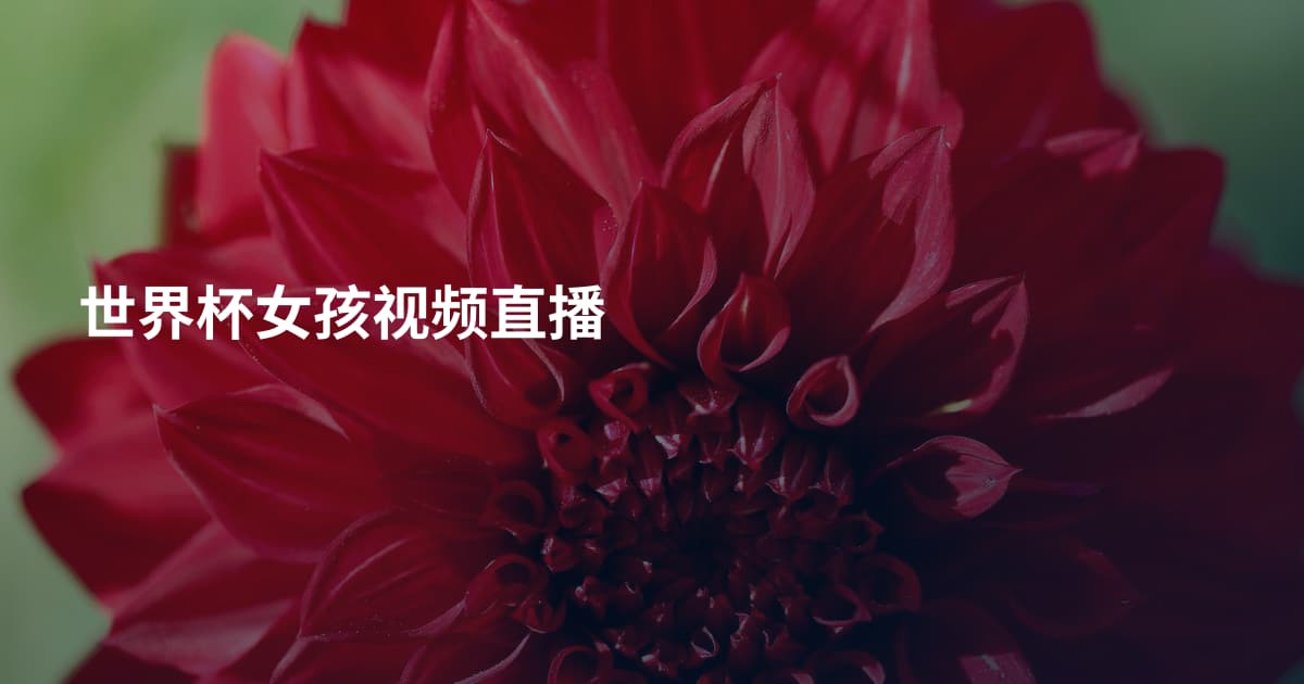 世界杯女孩视频直播
