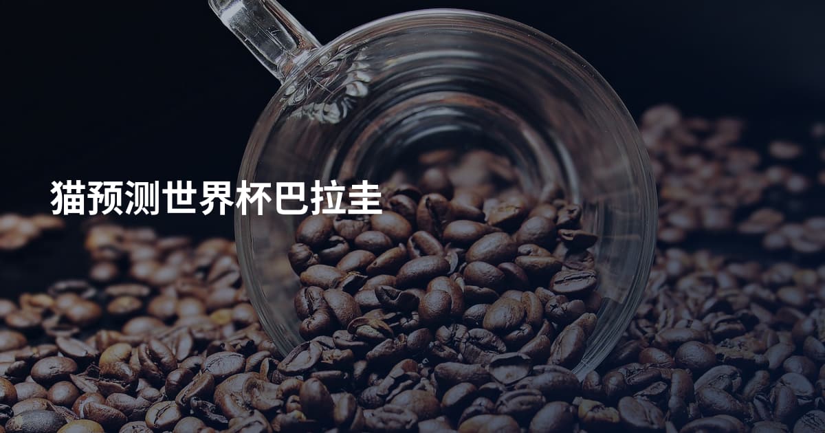 猫预测世界杯巴拉圭