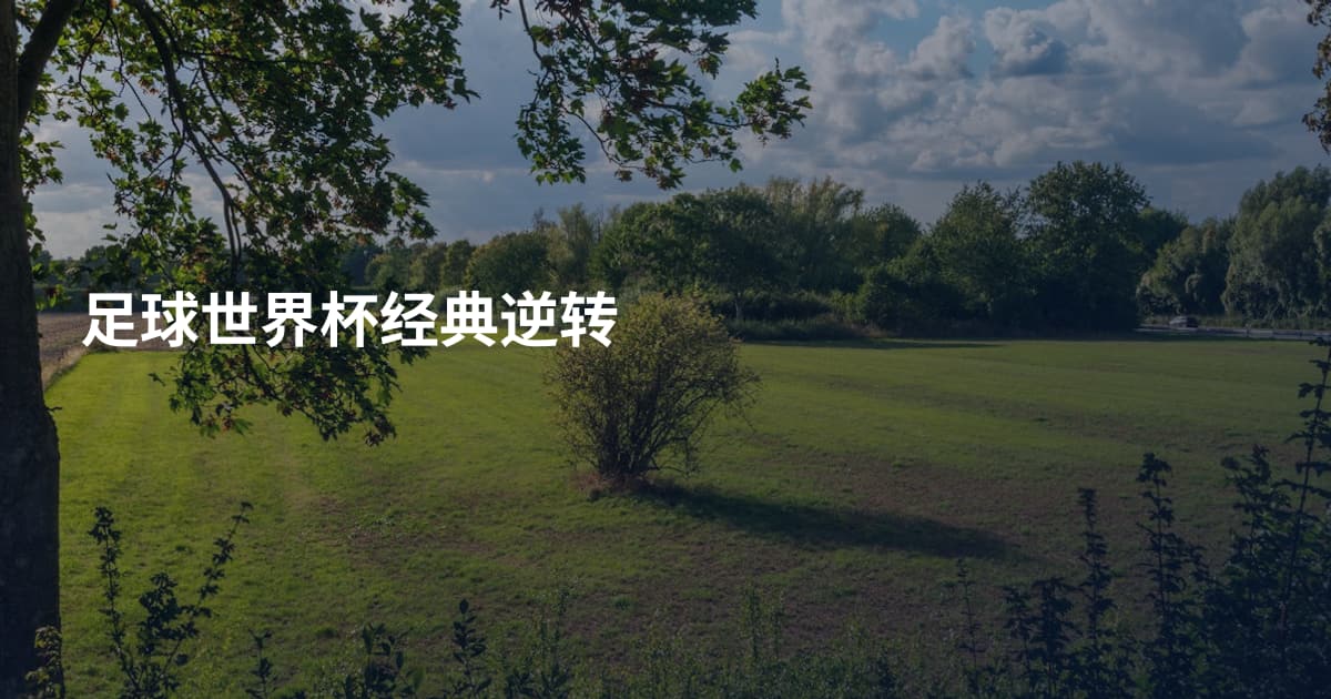 足球世界杯经典逆转