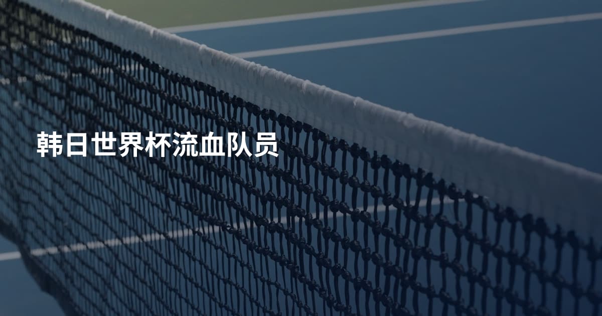 韩日世界杯流血队员