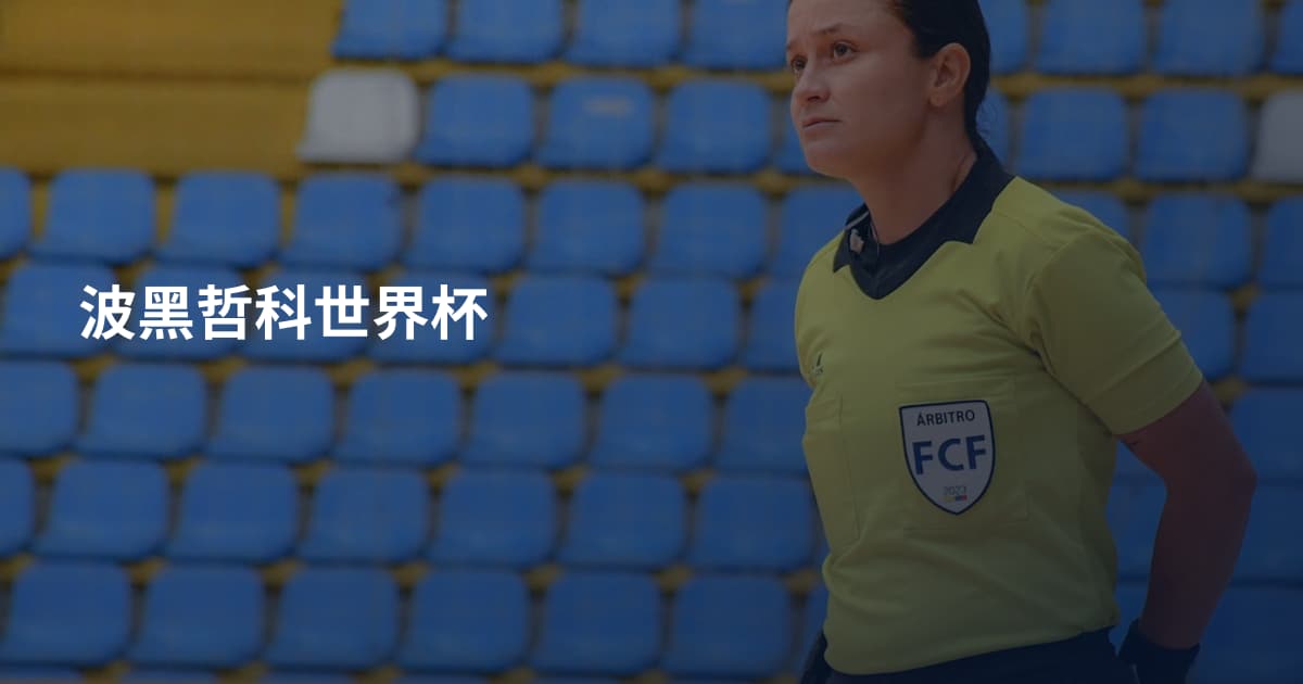 波黑哲科世界杯