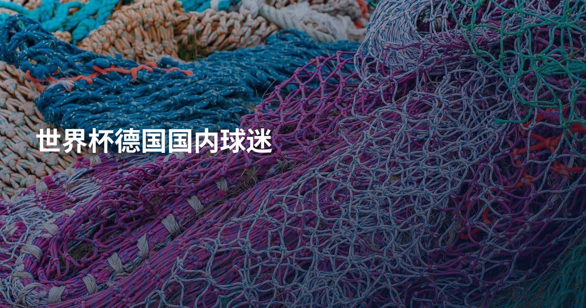 世界杯德国国内球迷