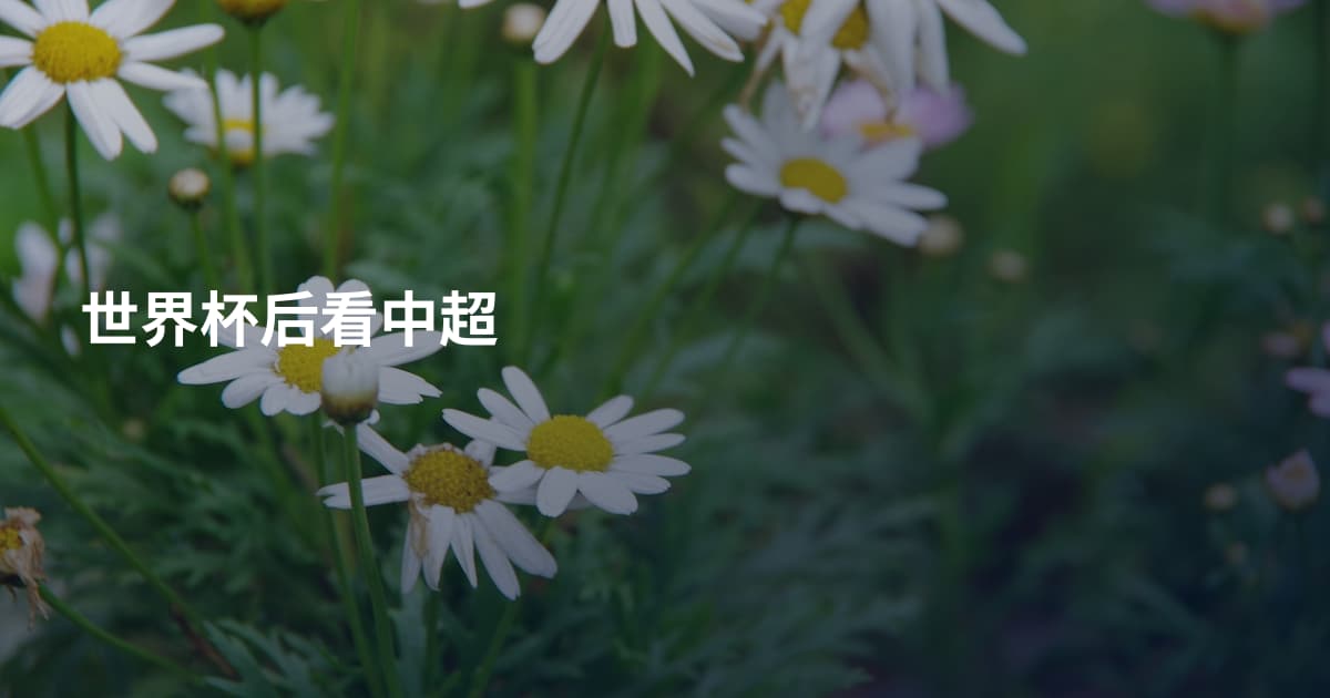 世界杯后看中超