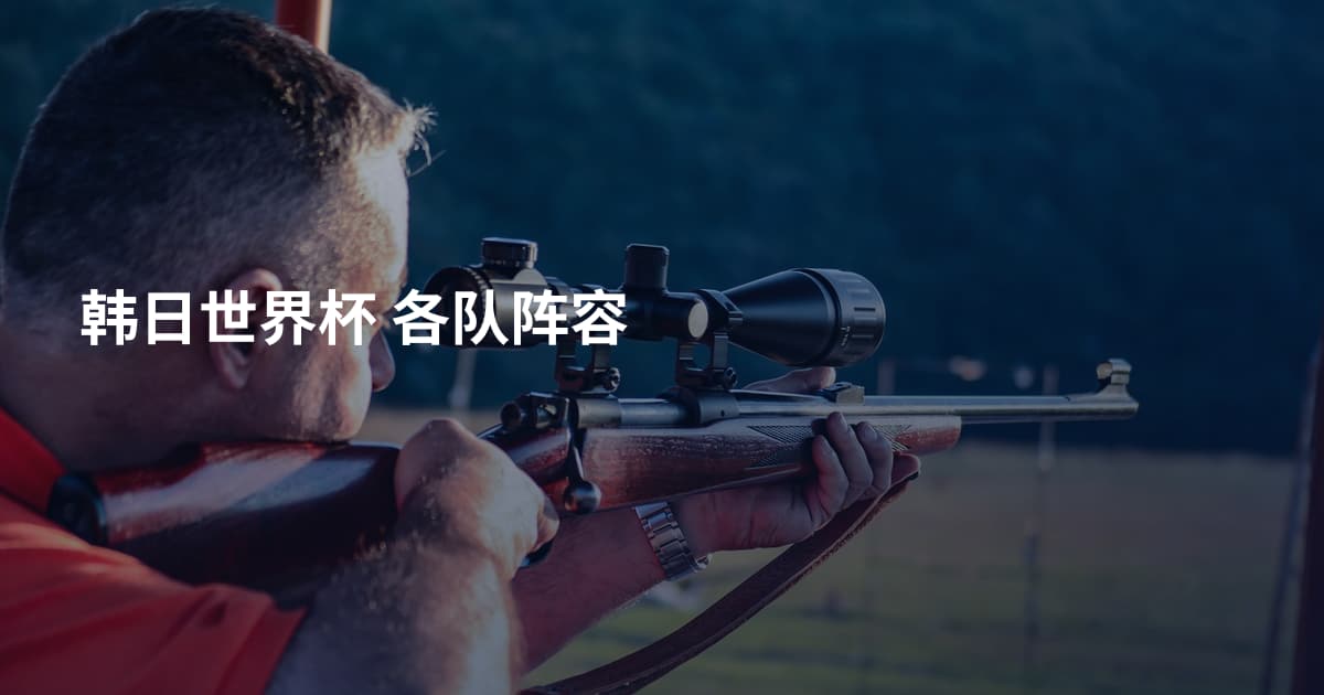 韩日世界杯 各队阵容