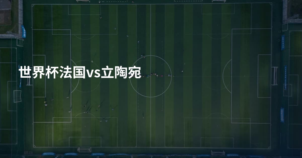世界杯法国vs立陶宛