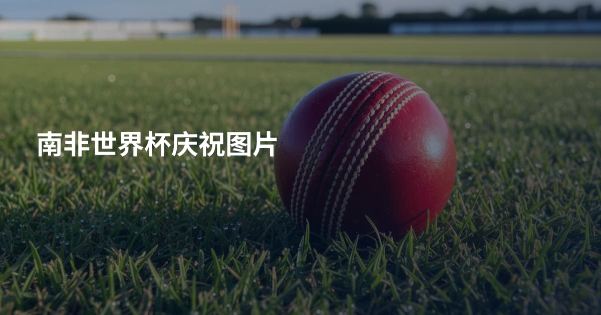 南非世界杯庆祝图片