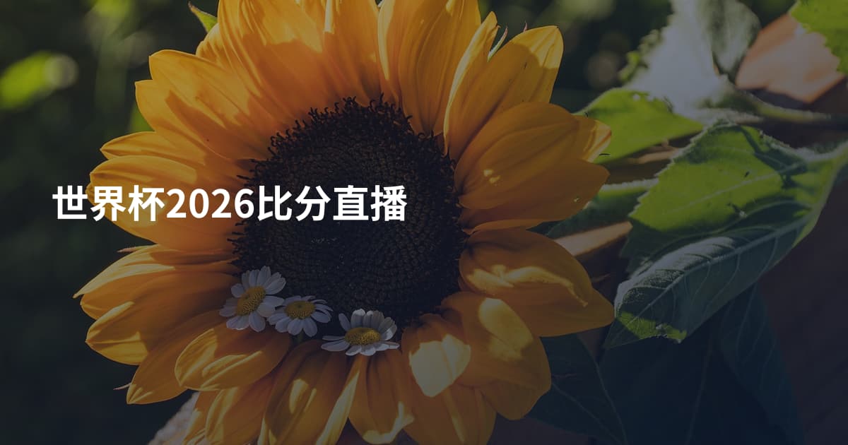 世界杯2026比分直播