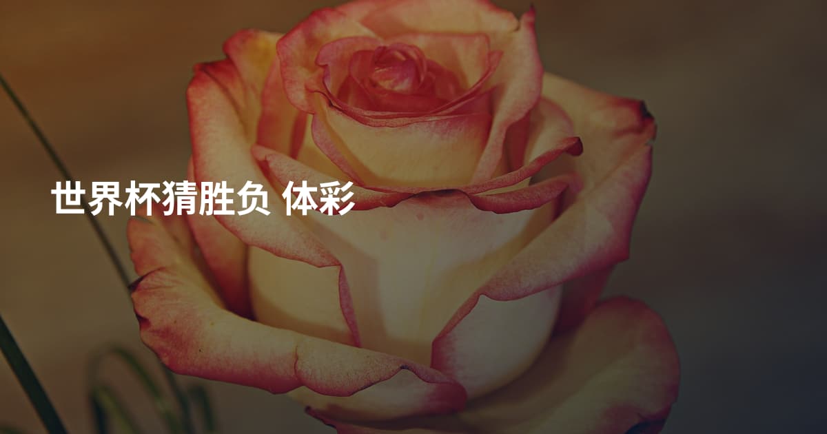 世界杯猜胜负 体彩