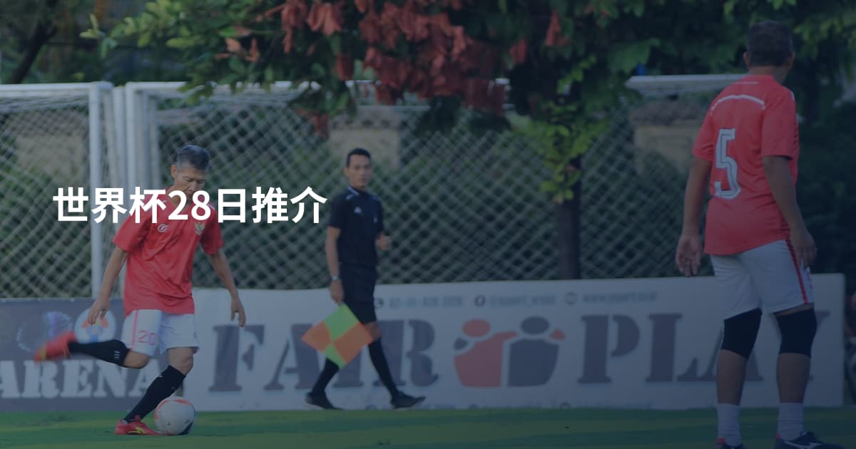 世界杯28日推介