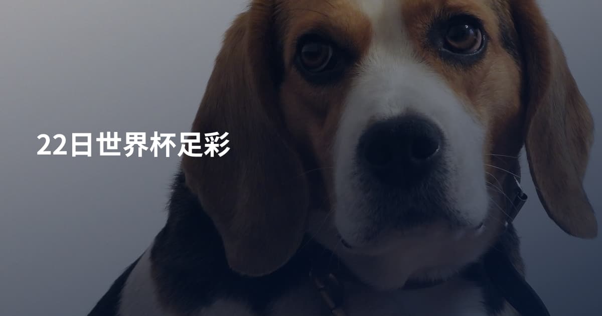 22日世界杯足彩