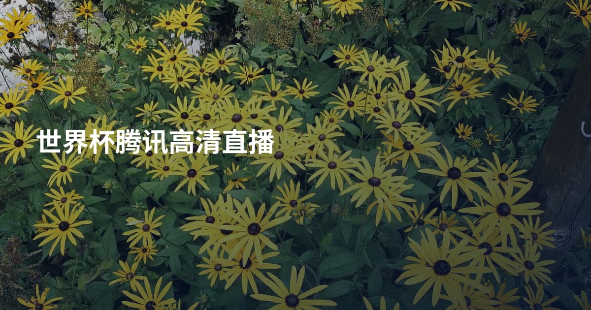 世界杯腾讯高清直播