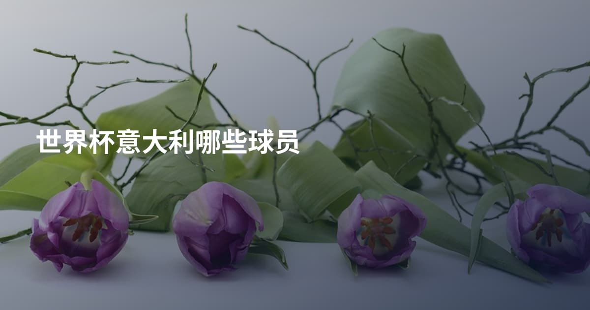 世界杯意大利哪些球员
