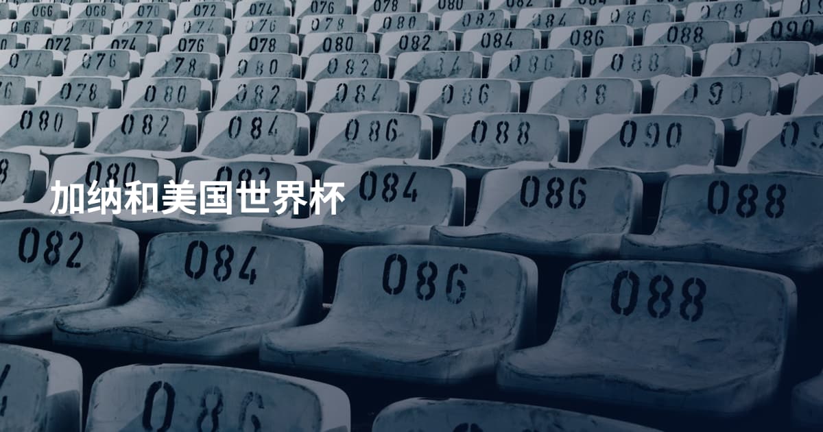 加纳和美国世界杯