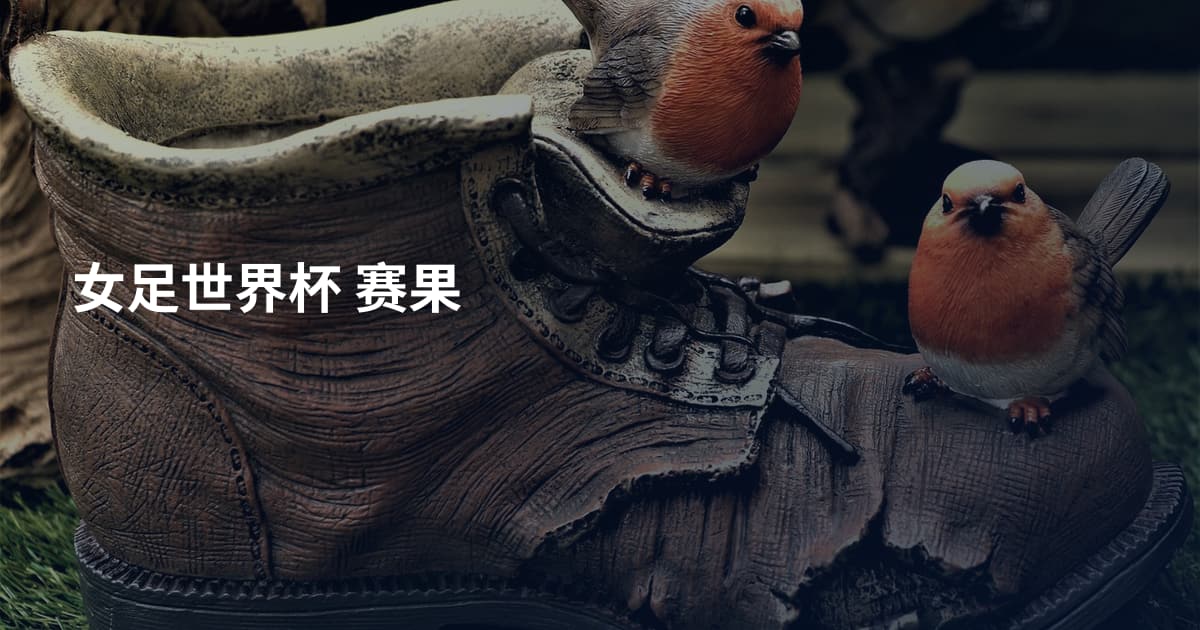 女足世界杯 赛果