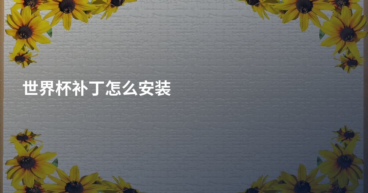 世界杯补丁怎么安装