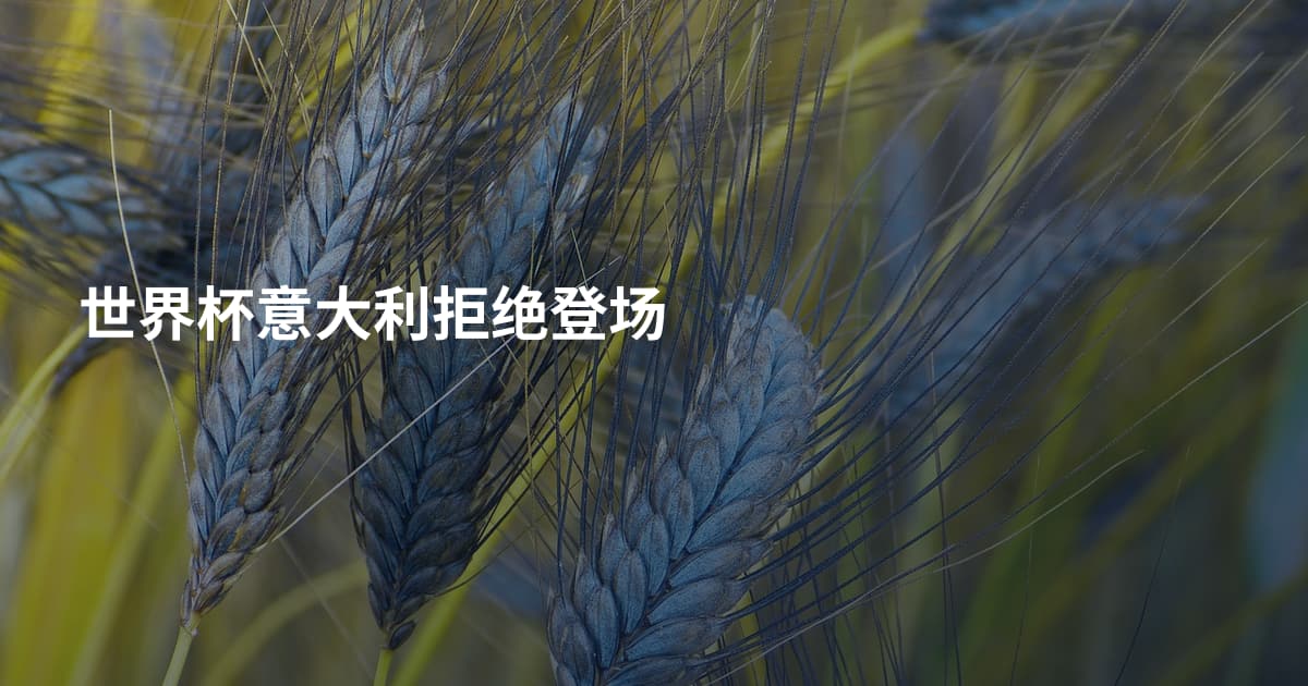 世界杯意大利拒绝登场