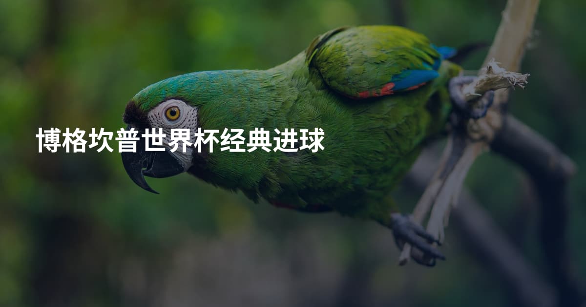 博格坎普世界杯经典进球