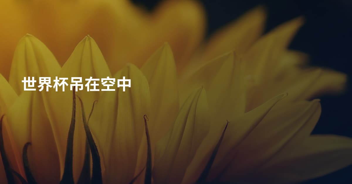 世界杯吊在空中