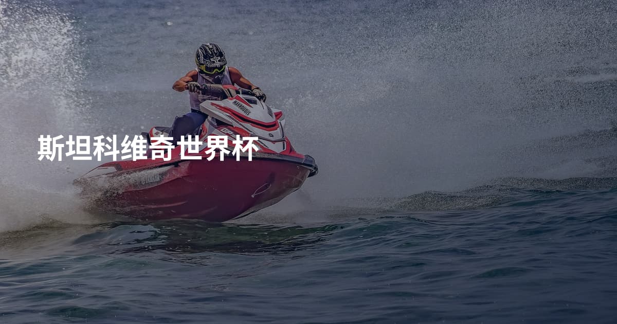 斯坦科维奇世界杯